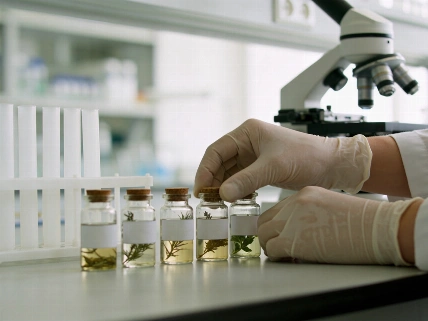 Stemtech's Regeneration Model Has Yet to Face Direct Testing Shake Nutrition